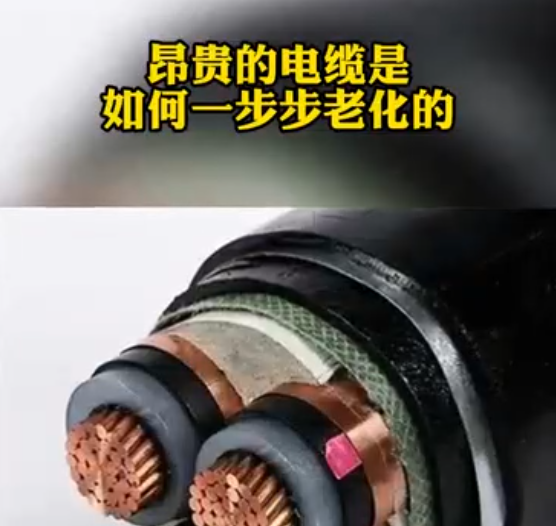 winsun第109集：winsun解決方案系列2，利用行波技術進行電纜在線監測